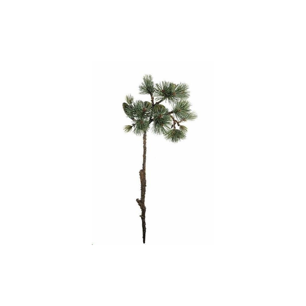 RAMO DI PINO MUGO VERDE CM.61